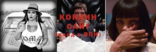 стаф Балахна