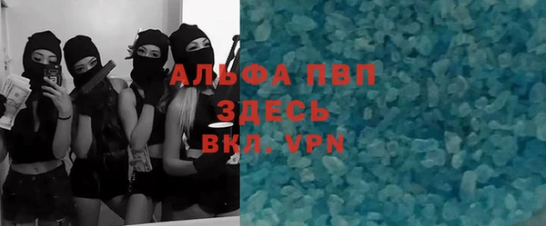 стаф Балахна