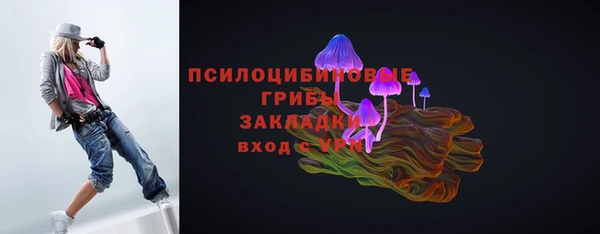 стаф Балахна