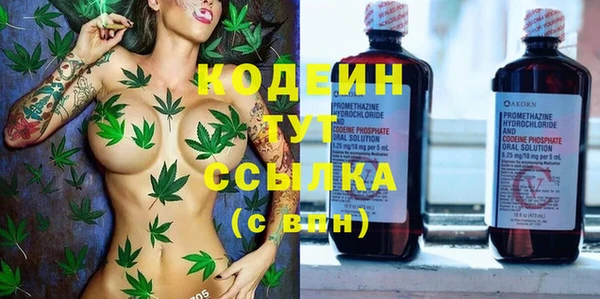 стаф Балахна