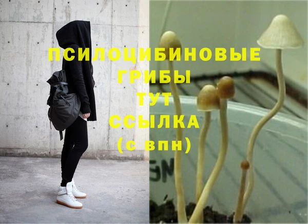стаф Балахна