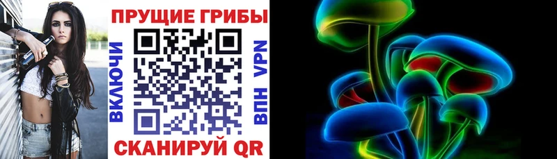 mega tor  Володарск  Галлюциногенные грибы прущие грибы 